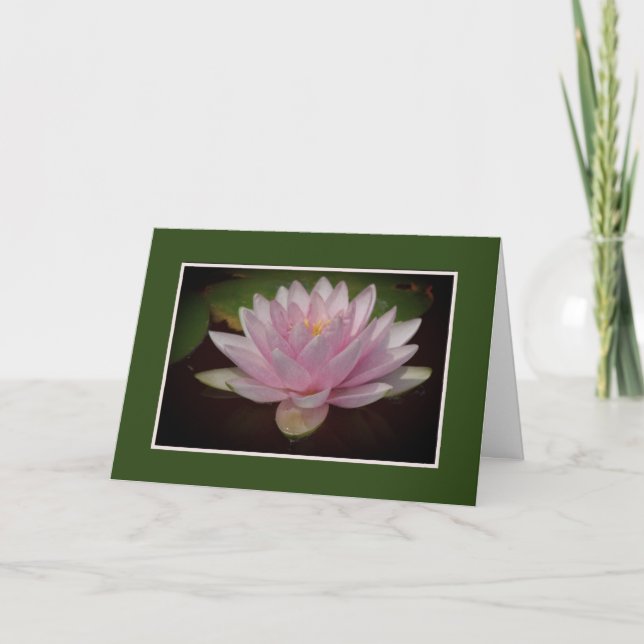 PALE-PINK WATER LILY/BLANK INSIDE CARD (Front)