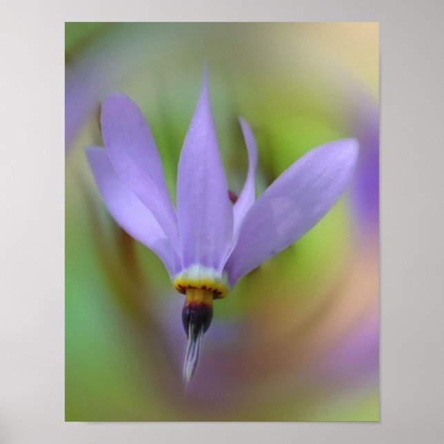 Pale Purple Flower Close Up  Poster (Front)