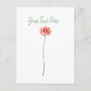 Pale Red Gerbera Flower Postcard