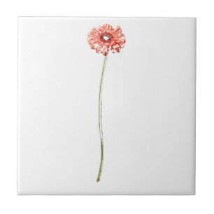 Pale Red Gerbera Flower Tile