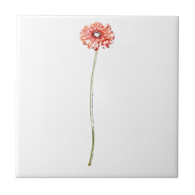 Pale Red Gerbera Flower Tile (Front)