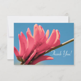 Pale Red Pink Erythrina FlowerThank You Flat Card