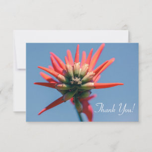 Pale Red Pink Erythrina FlowerThank You Flat Card