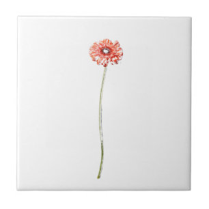 Pale Red Pink Gerbera Flower Sketch Tile