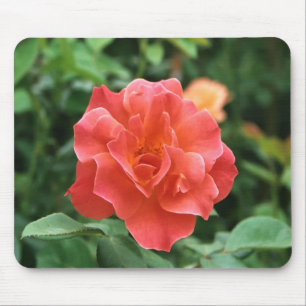 Pale Red Rose.... Mouse Mat