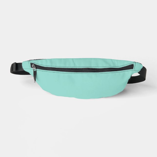 Pale Robin Egg Blue Solid Colour Bum Bags (Front)