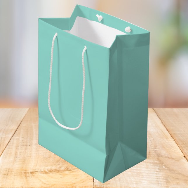 Pale Robin Egg Blue Solid Colour Medium Gift Bag (Creator Uploaded)