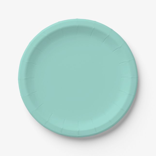 Pale Robin Egg Blue Solid Colour Paper Plate (Front)
