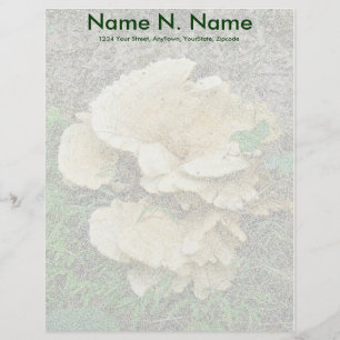 Pale Shelf Fungus Coordinating Items Letterhead