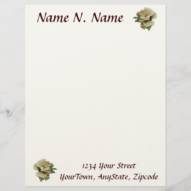 Pale Shelf Fungus Coordinating Items Letterhead Template (Front)