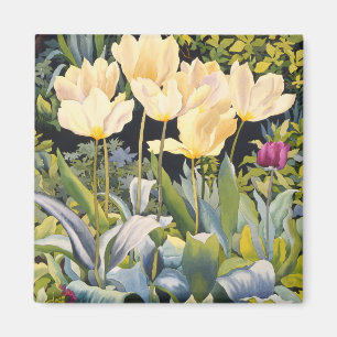 Pale Tulips Magnet