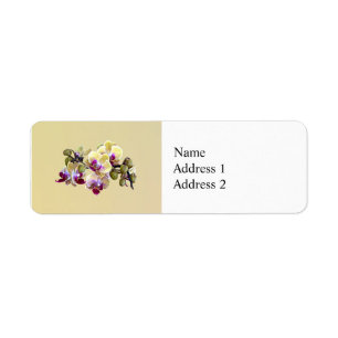 Pale Yellow and Magenta Phalaenopsis Orchids