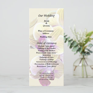 Pale Yellow and Magenta Phalaenopsis Orchids Programme