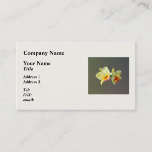 Pale Yellow Cattleya Orchids Business Card
