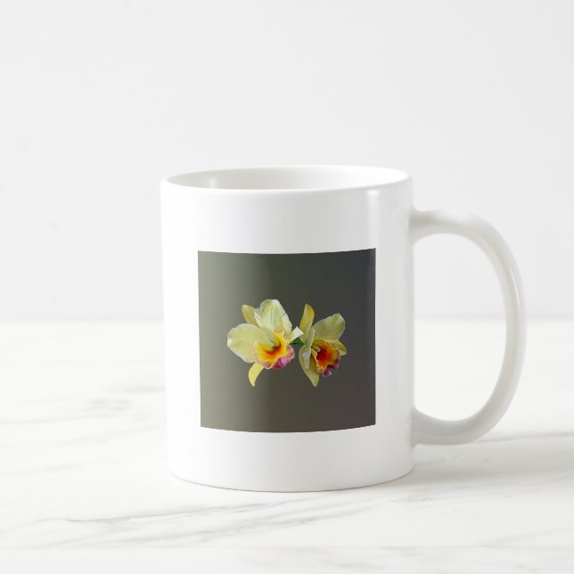 Pale Yellow Cattleya Orchids Coffee Mug (Right)