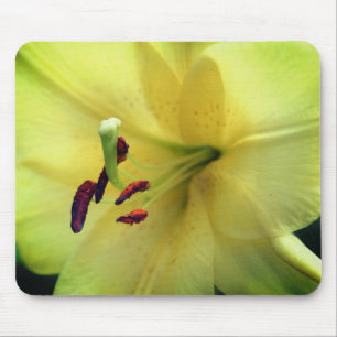 Pale Yellow Lily Flower Up Close Mouse Mat