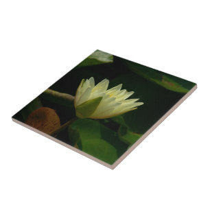 "PALE YELLOW LOTUS BLOSSOM" CERAMIC TILE/TRIVET TILE