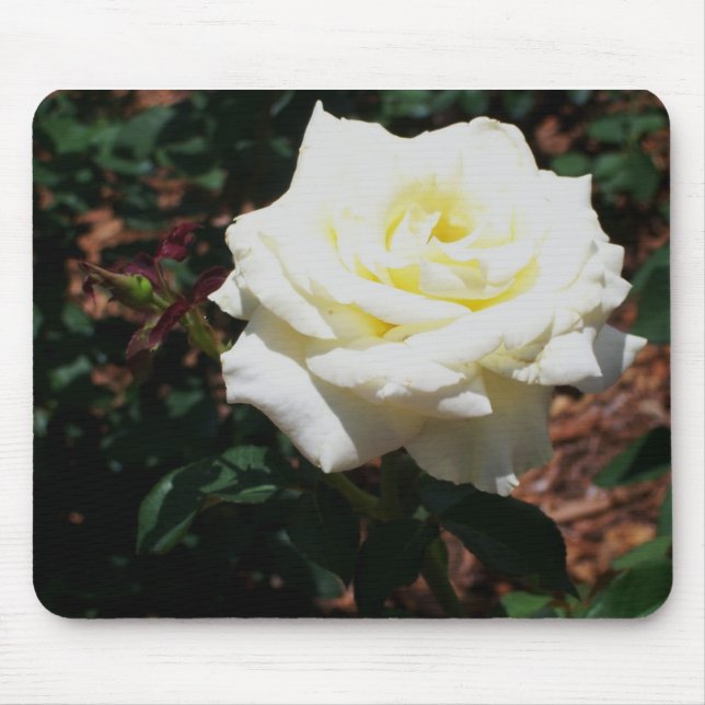 Pale Yellow Rose Mouse Mat (Front)