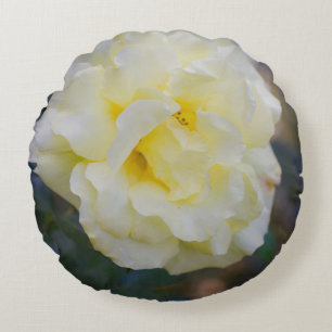 Pale yellow rose round cushion