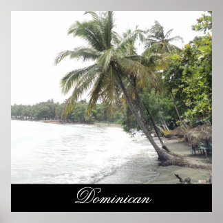 Palenque Beach in Dominican Republic Poster