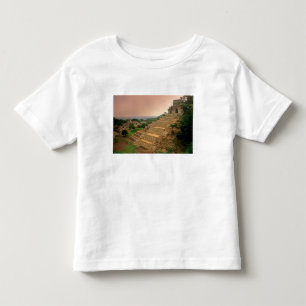 Palenque, Chiapas, Mexico, Maya Toddler T-Shirt