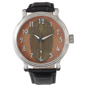 "Paleo-chic" Asaphiscus Fossil Trilobite Watch