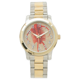 "Paleo-chic" Paraceraurus Fossil Trilobite Watch