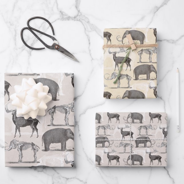 Paleontologist Woolly Mammoth and Giant Irish Elk Wrapping Paper Sheet (Front)
