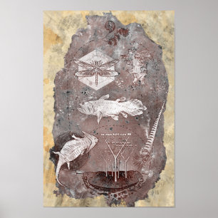 Paleozoic era poster