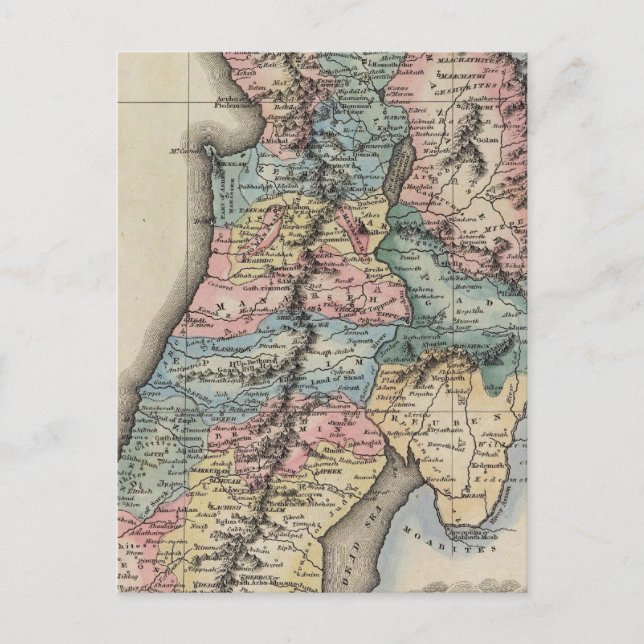 Palestine 2 postcard (Front)