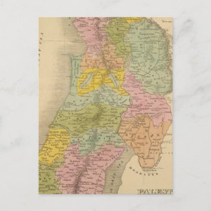 Palestine 3 postcard