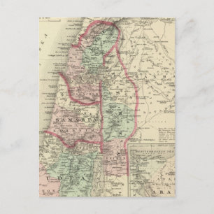Palestine 4 postcard