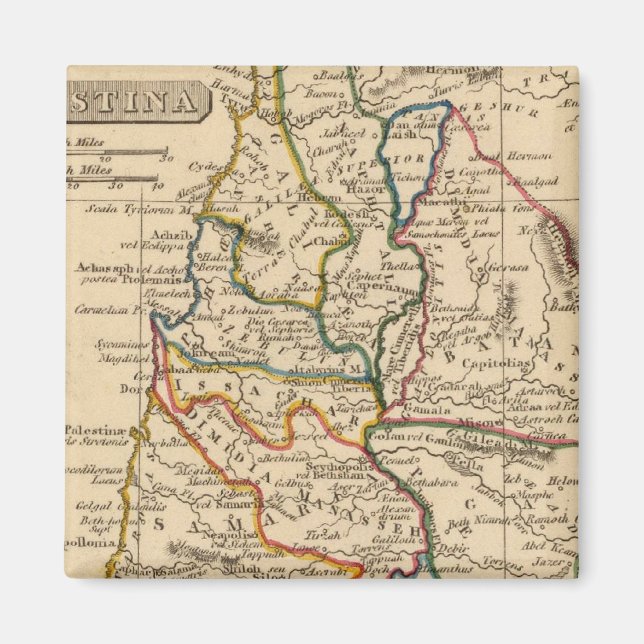 Palestine 5 magnet (Front)