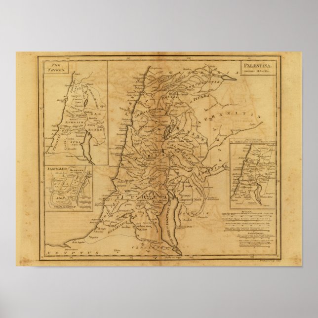 Palestine 5 poster (Front)