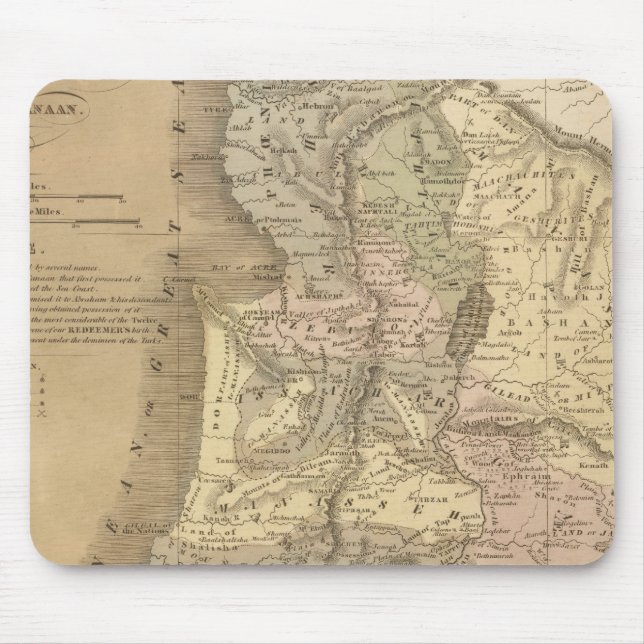 Palestine 6 mouse mat (Front)