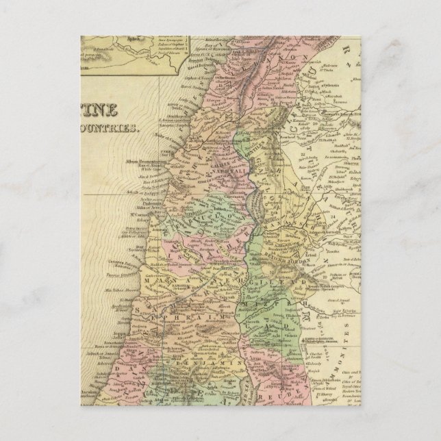 Palestine & Adjacent Countries Postcard (Front)