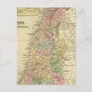 Palestine & Adjacent Countries Postcard