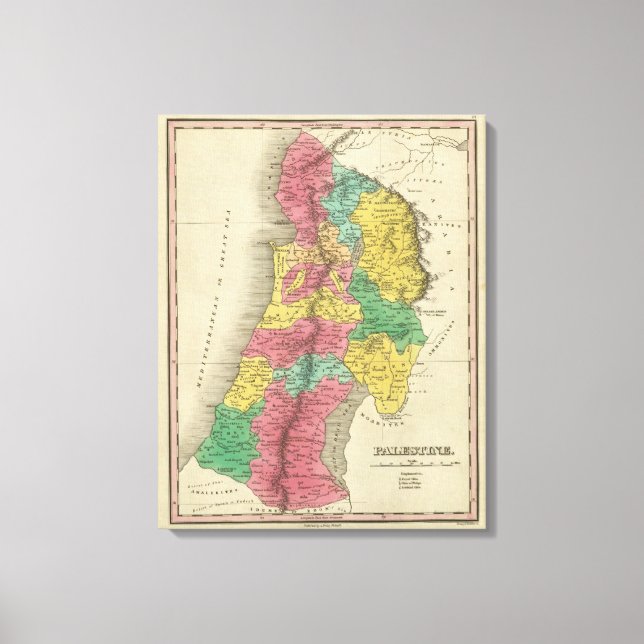 Palestine Canvas Print (Front)