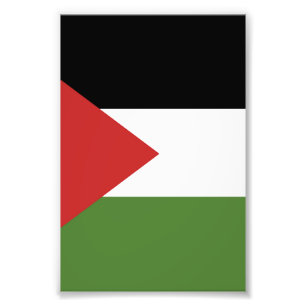 Palestine flag photo print
