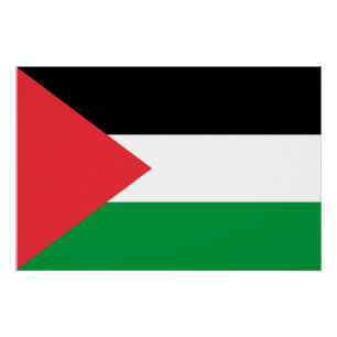 Palestine flag poster