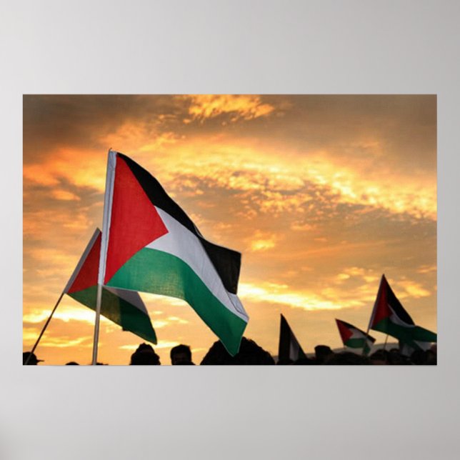 Palestine Flag View Poster (Front)