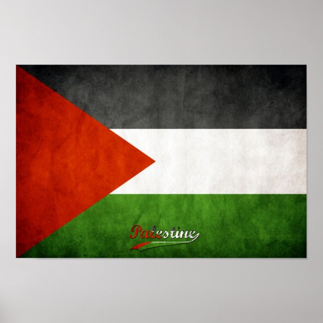 Palestine Grunge Poster (Front)