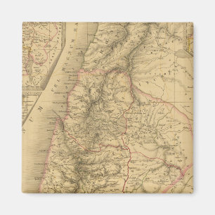 Palestine Magnet