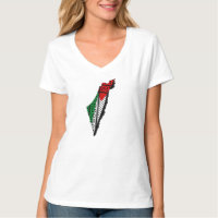 Palestine Map whith Flag and Keffiyeh Pattern