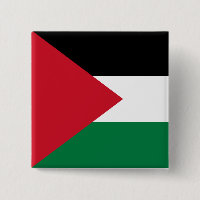 Palestine (Palestinian) Flag