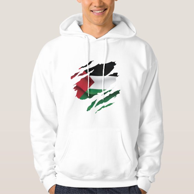 Palestine ripped pride Flag T-Shirt Throw Pillow Hoodie (Front)