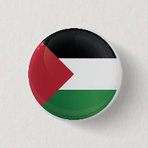 Palestine  Round Icon Flag