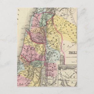 Palestine with Arabia Petraea Postcard