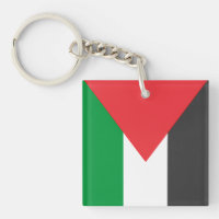 Palestinian flag Free Palestine customised