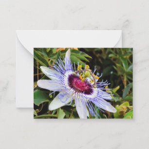 Palestinian Flower Flat Note Card